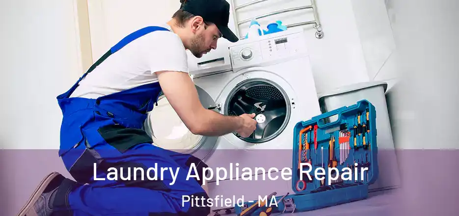  Laundry Appliance Repair Pittsfield - MA