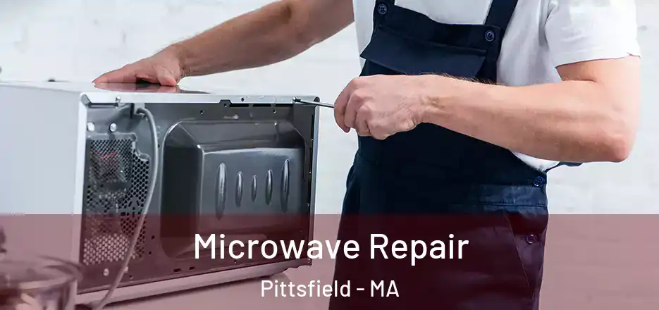 Microwave Repair Pittsfield - MA