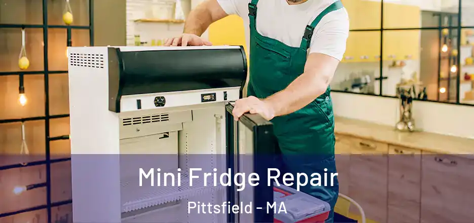 Mini Fridge Repair Pittsfield - MA