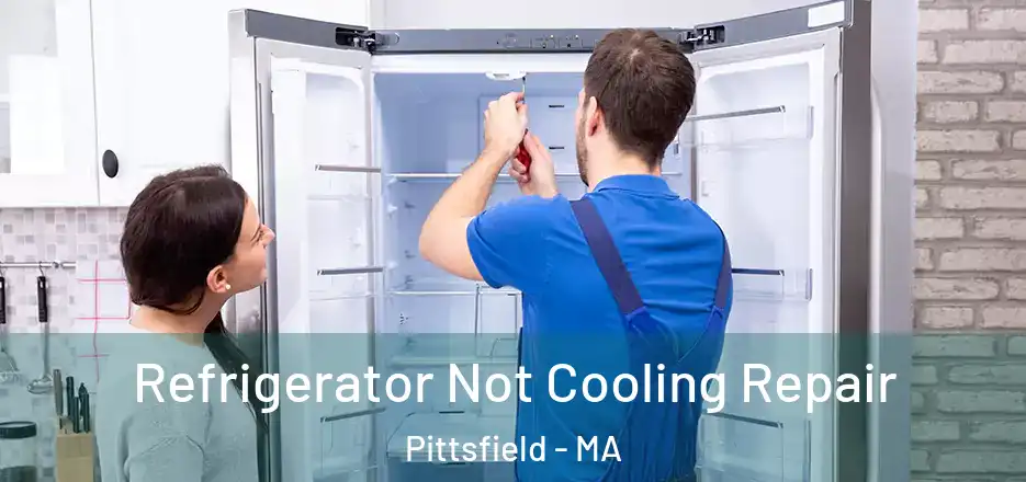 Refrigerator Not Cooling Repair Pittsfield - MA