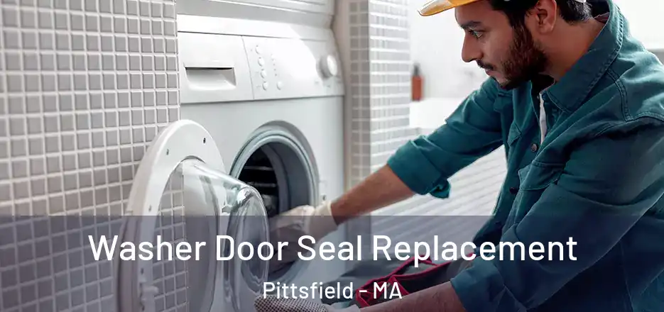 Washer Door Seal Replacement Pittsfield - MA